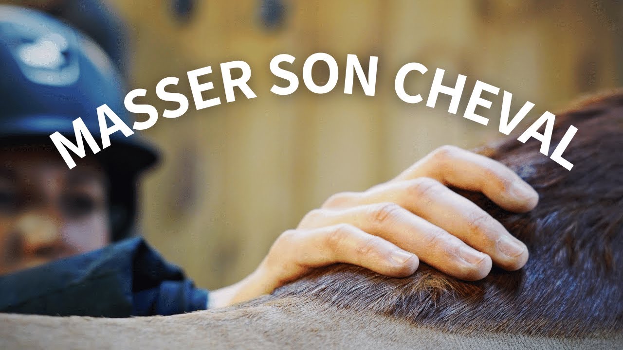 ATUCES DE PRO 👀:  LE MASSAGE POUR SON CHEVAL