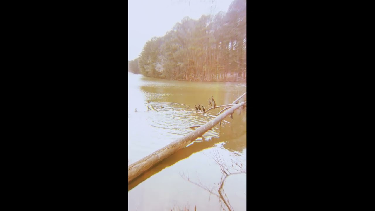 waterlogged