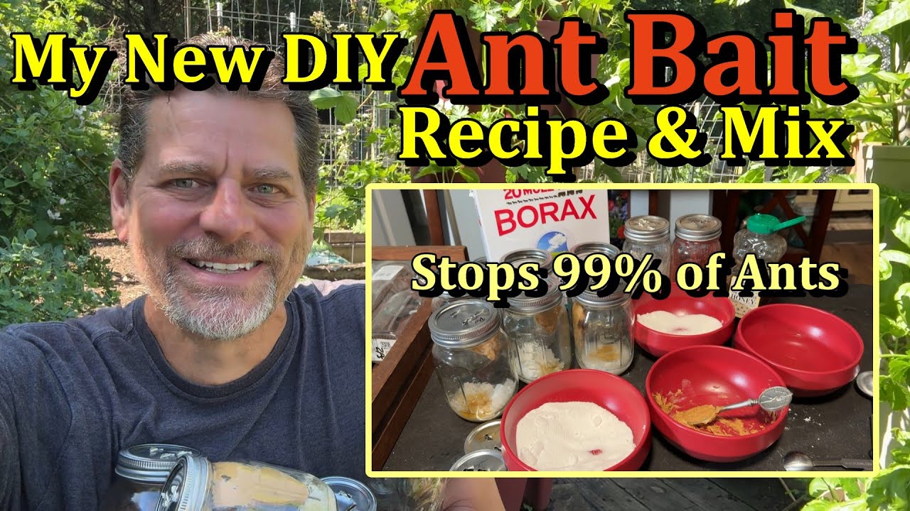 DIY Borax Ant Baits for the Vegetable Garden (Improved Bait Recipe for Killing All Ants)