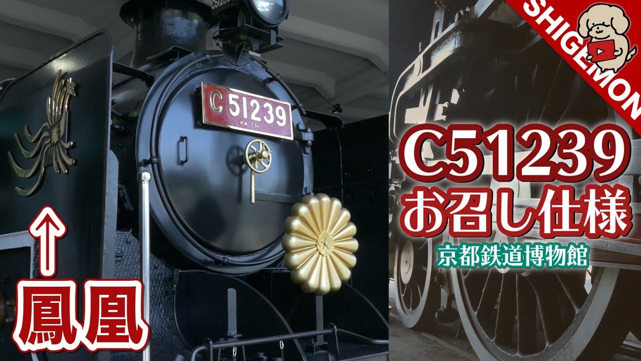 【鳳凰】「梅小路機関区のお召し仕様」になったC51239号機を見てきた / 京都鉄道博物館【SHIGEMON】