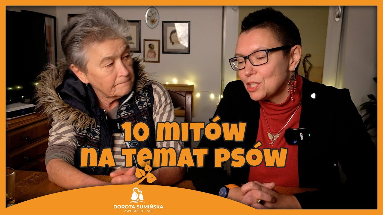 PORADNIK #32: 10 mitów na temat psów