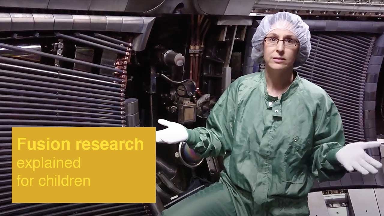 What is the work of a scientist at the Max Planck Institute for Plasma Physics (IPP)?