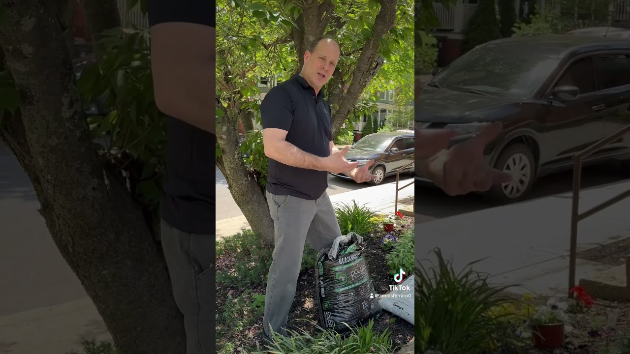 Back pain from yard work? #chiropractic #concordchiropractic