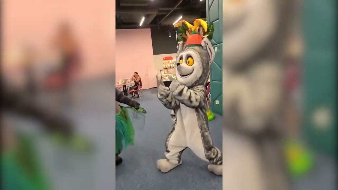 Герои Мадагаскара в Dkids