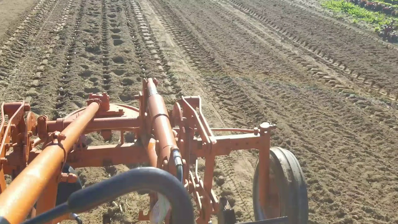 Covering up garlic with Allis Chalmers G