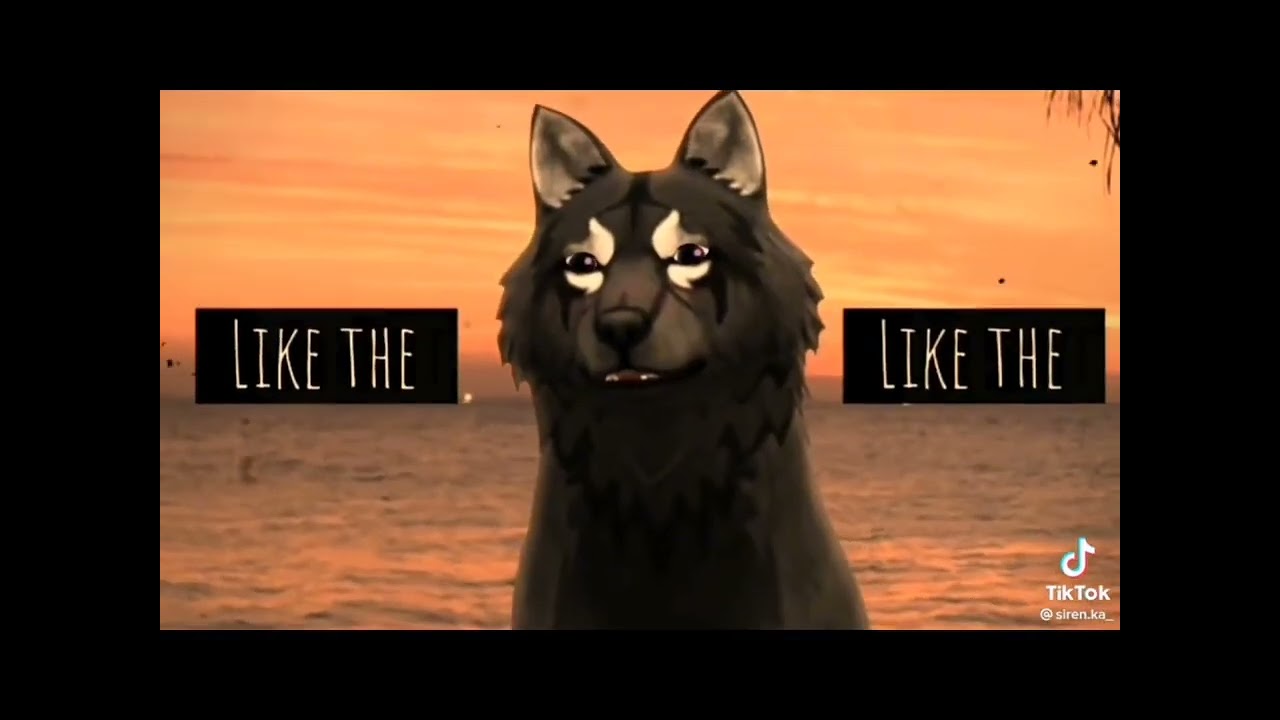 WildCraft из Tik Tok  fox🦊лиса WildCraft   😂😂😂😂🤣✌