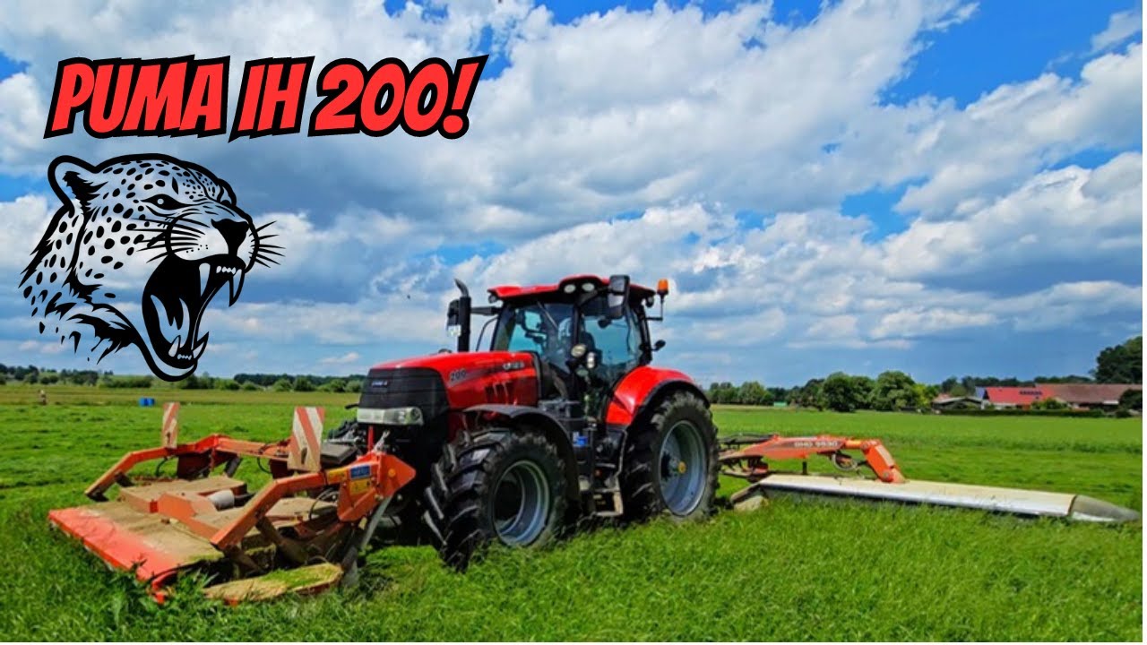 Puma 200 IH Case mit Kuhn Schmetterling GMD 9530 & vorne GMD 802 F beim Grünschnitt mähen 2024!