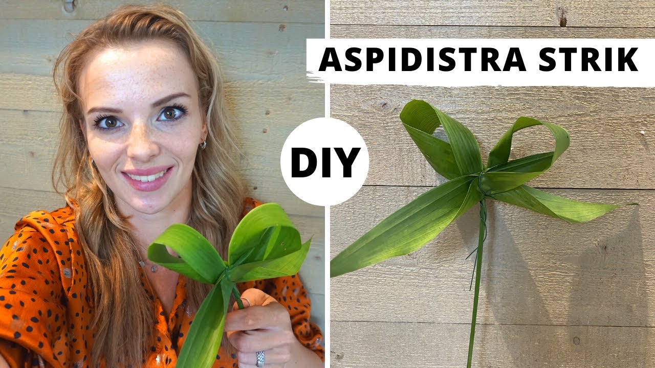Aspidistra strikjes🌿 | Techniek les BLOEMSCHIKKEN 💐| Les #1 | Carlein Tukkers