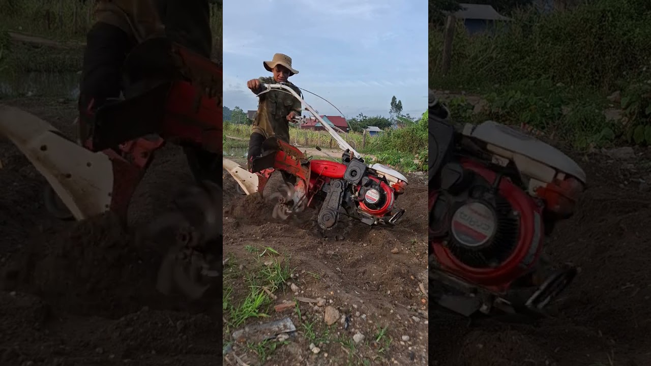 0972537647