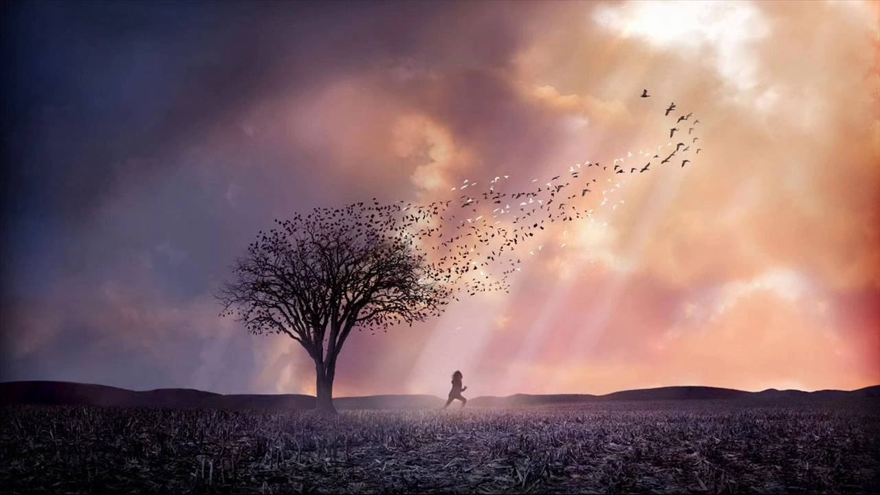 Rodrigo Mateo - Din Of Birds (Original Mix)