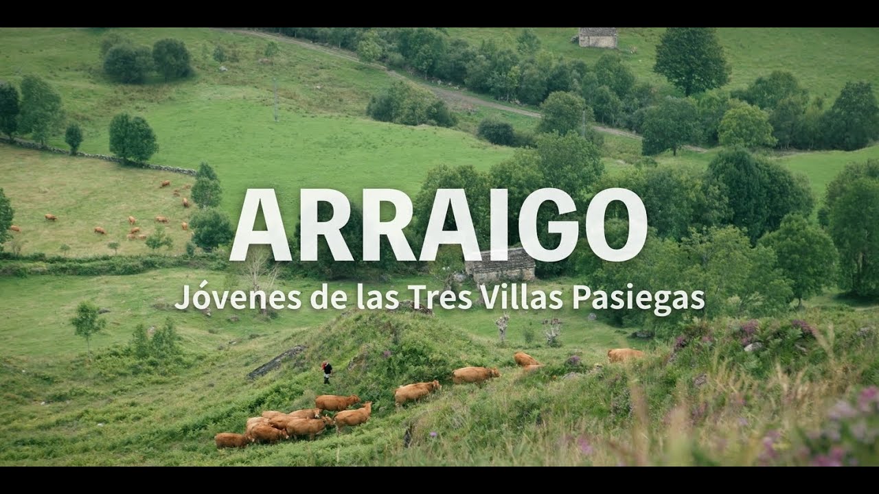 Documental 