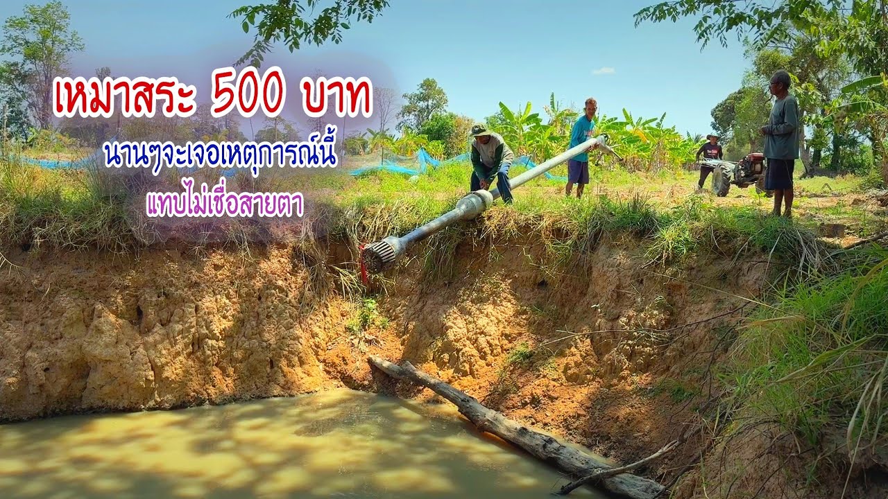 เหมาสระ 500฿ แทบไม่อยากเชื่อสายตาตัวเอง นานๆจะเจอเหตุการณ์แบบนี้