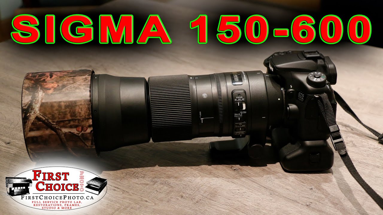 SIGMA 150-600 Contemporary // Мой ЛЮБИМЫЙ объектив // ЕСЛИ БЫ я только мог снимать им свадьбы!!