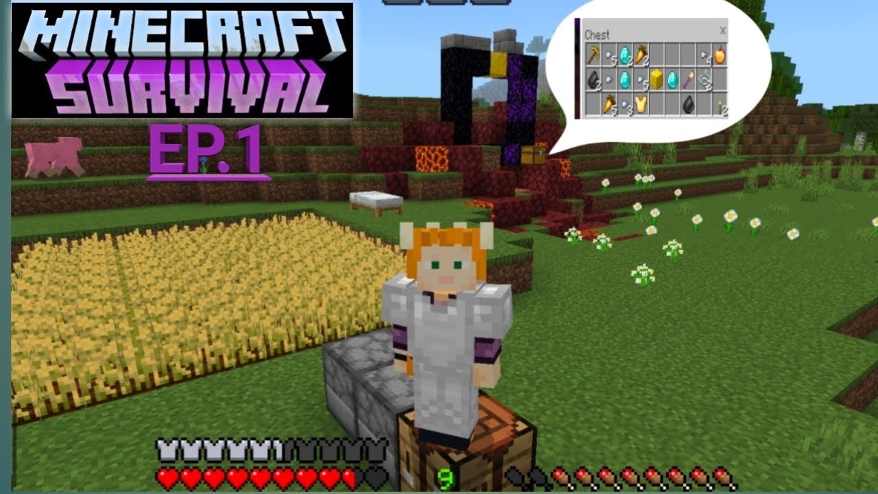 A New Journey | Minecraft Survival Series Ep.1