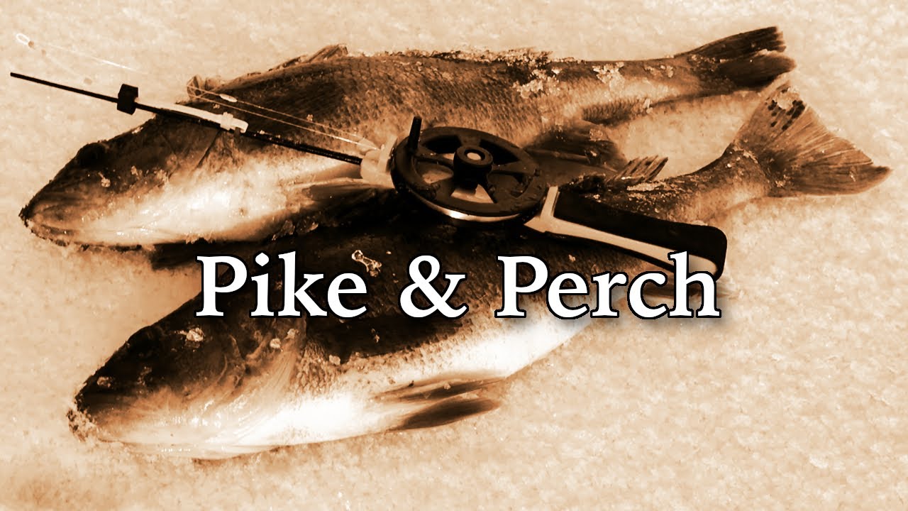 Winter Ice Fishing For Pike And Perch