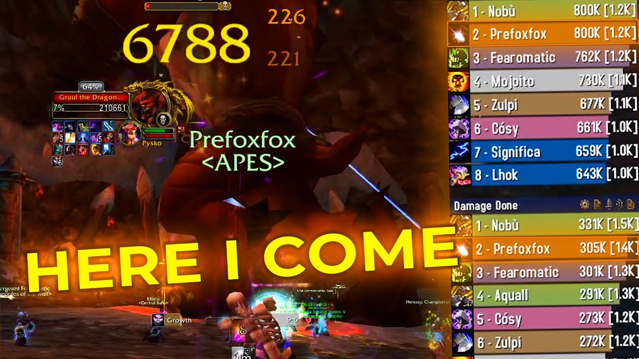 When a BOOMKIN challenges the raid on damage meters + DST drop in GDKP