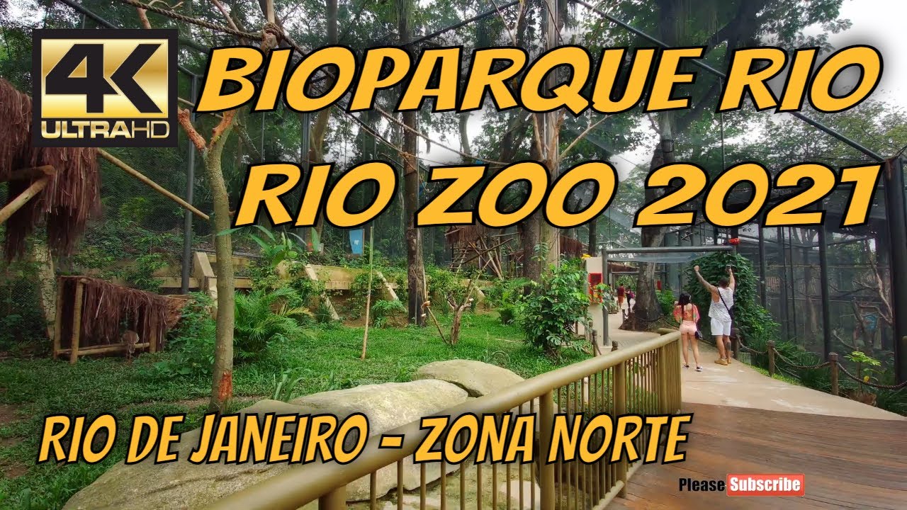 【4K】🏃 BIOPARQUE RIO | Zoo of Rio de Janeiro | Rio de Janeiro by Car