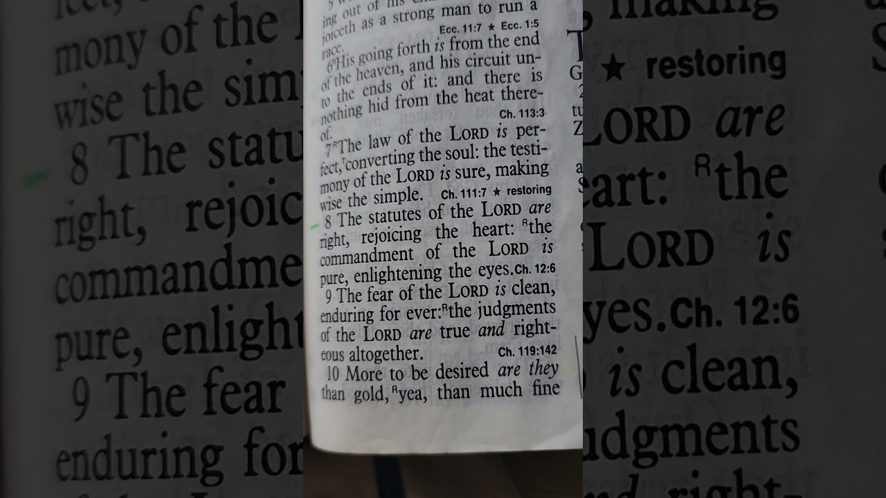 The statutes of the LORD are right, rejoicing the heart PSALMS 19:8