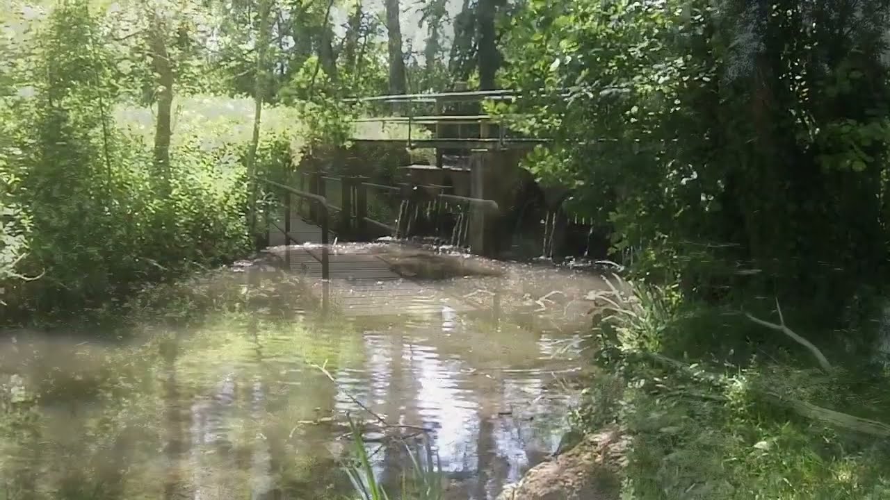 Château Landon : La zone humide des prés Patouilltats
