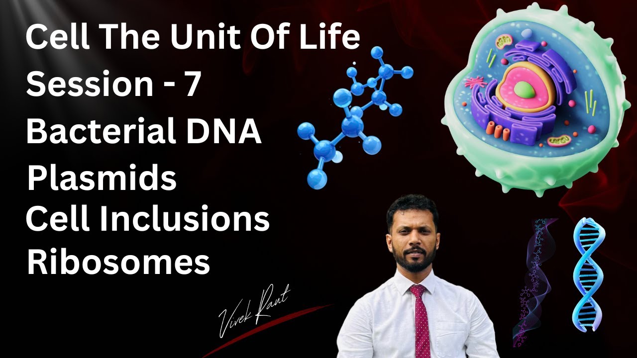Cell The Unit Of Life session 7 | Bacterial DNA | Plasmids | Cell Inclusions | Ribosomes