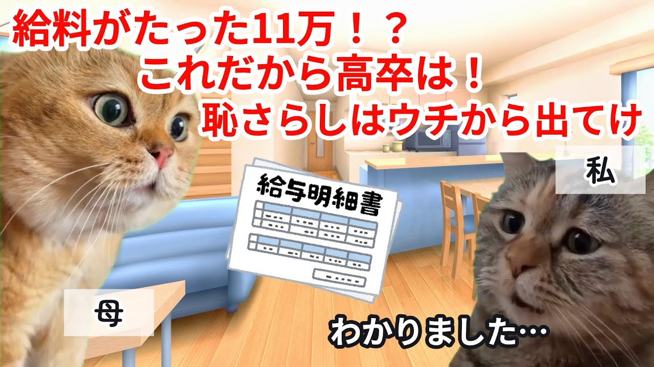 【スカッと猫ミーム】「月収11万の恥さらしは出ていけ」高卒の私を追い出す両親の悲惨な末路 #猫マニ #猫ミーム