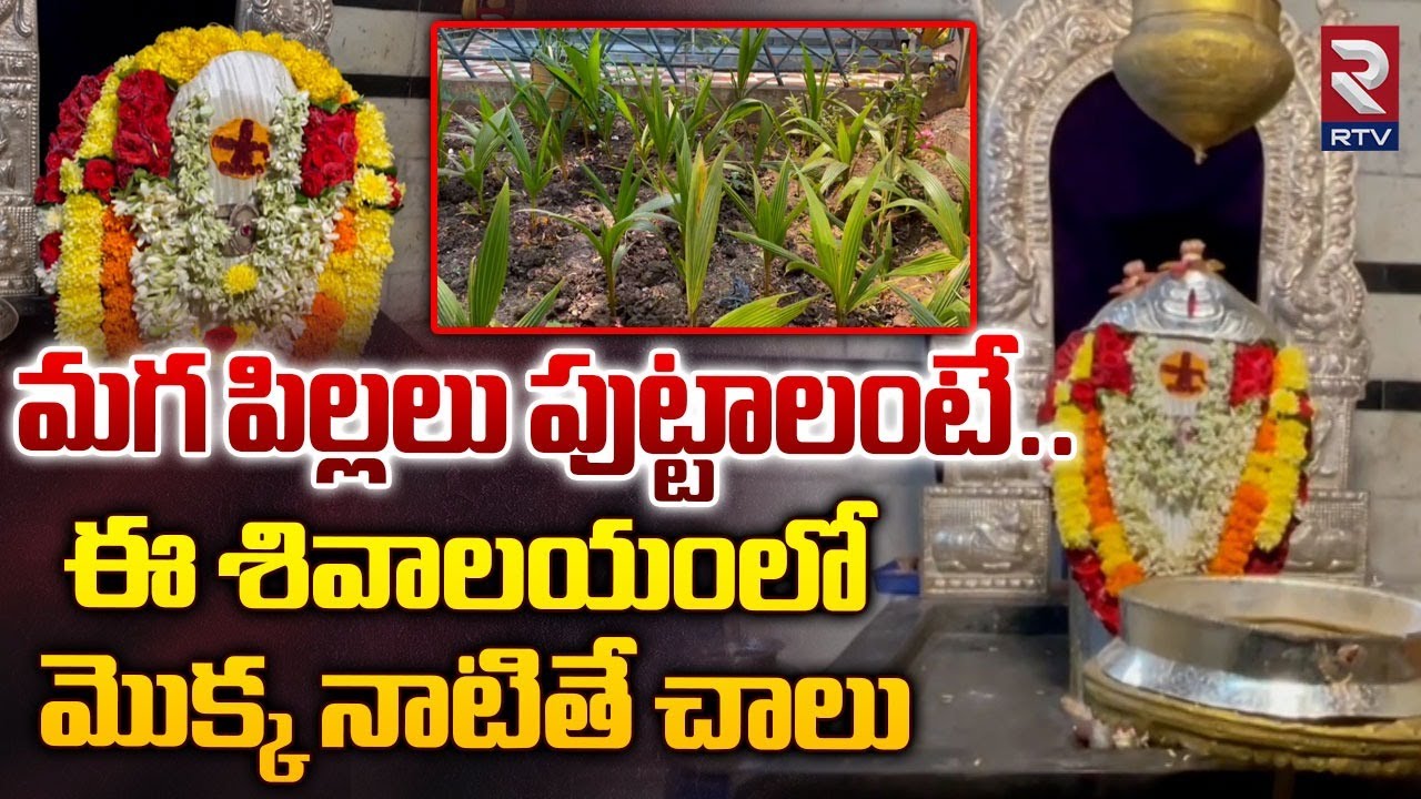 Palakollu Chikkala Shiva Temple | మగ పిల్లలు పుట్టాలంటే..ఈ శివాలయంలో మొక్క నాటితే చాలు | Lord Shiva