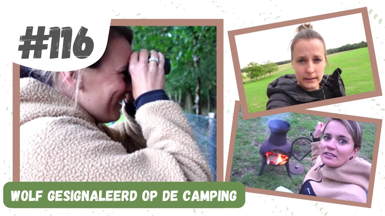 #116 ER IS EEN WOLF GESPOT I Natuurcamping de Groenendaal