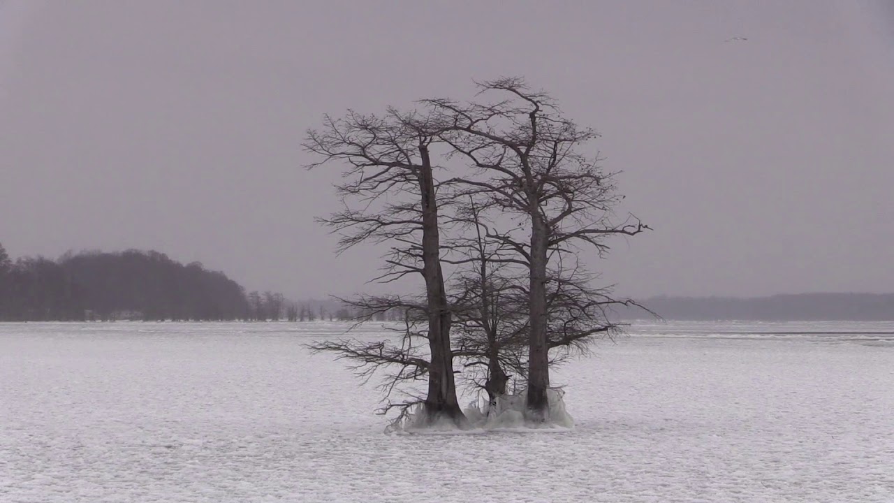 Winter Storms   February 2021
