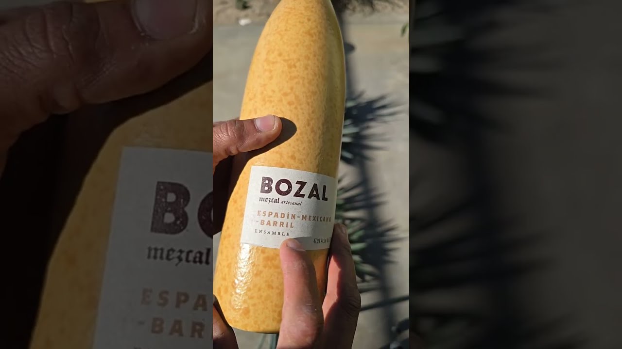 BOZAL MESCAL ENSAMBLE de MAGUEYES ESPADIN, MEXICANO y BARRIL