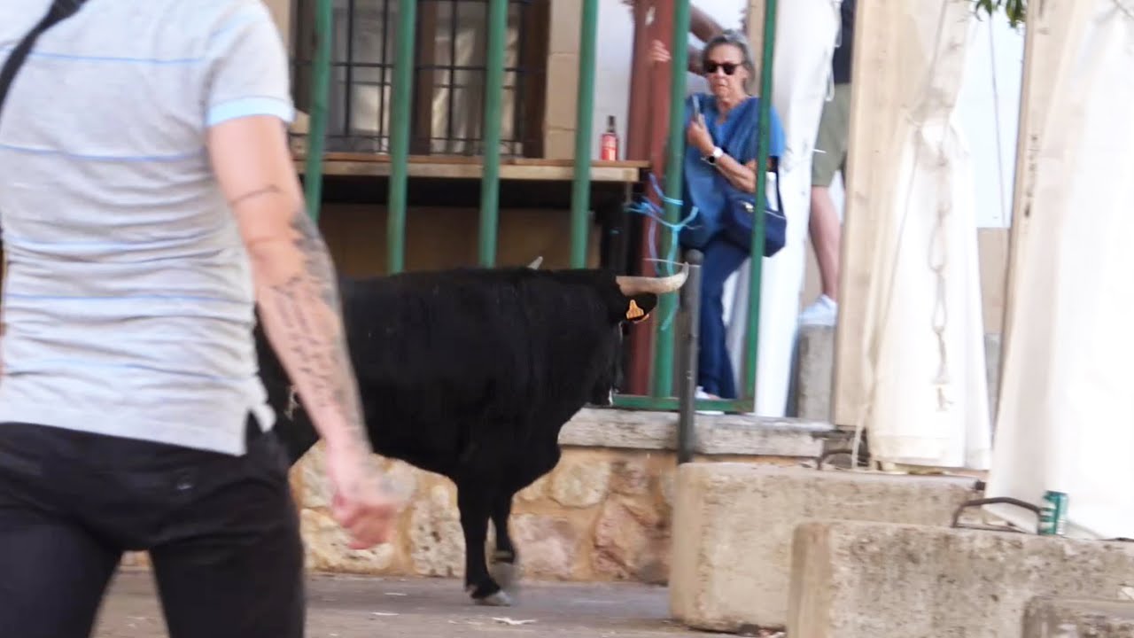 😱 QUE HACE ESA MUJER AHI? ENCIERRO VILLAREJO DE FUENTES (CUENCA) JUNIO 2025