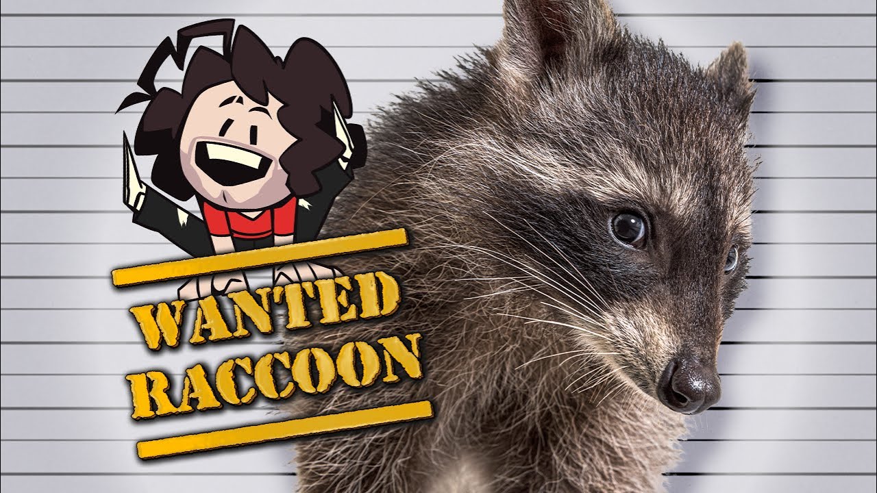 The best Ford F-150 commercial ever made | Wanted Raccoon [2]