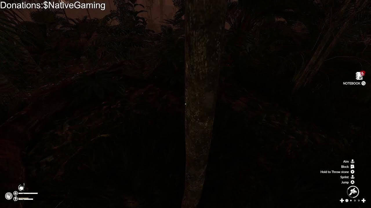 Exploring (Green hell day 3)