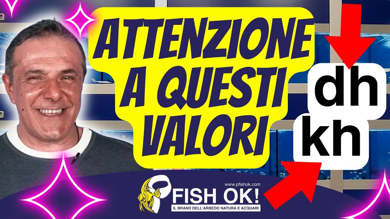 🐟💧 Come influenzare la durezza carbonatica ed il pH in acquario