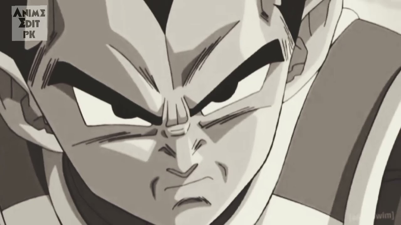 VEGETA THE BEST MASTER | CABBA'S INSPIRATION | CABBA GOES SSJ 2 | SAIYAN'S PRIDE | DRAGON BALL SUPER