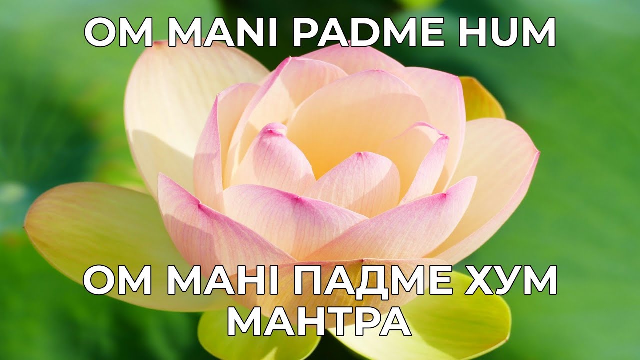 ОМ МАНІ ПАДМЕ ХУМ! Велика мантра співчуття, очищення і захисту! #mantra #ommanipadmehum #мантра