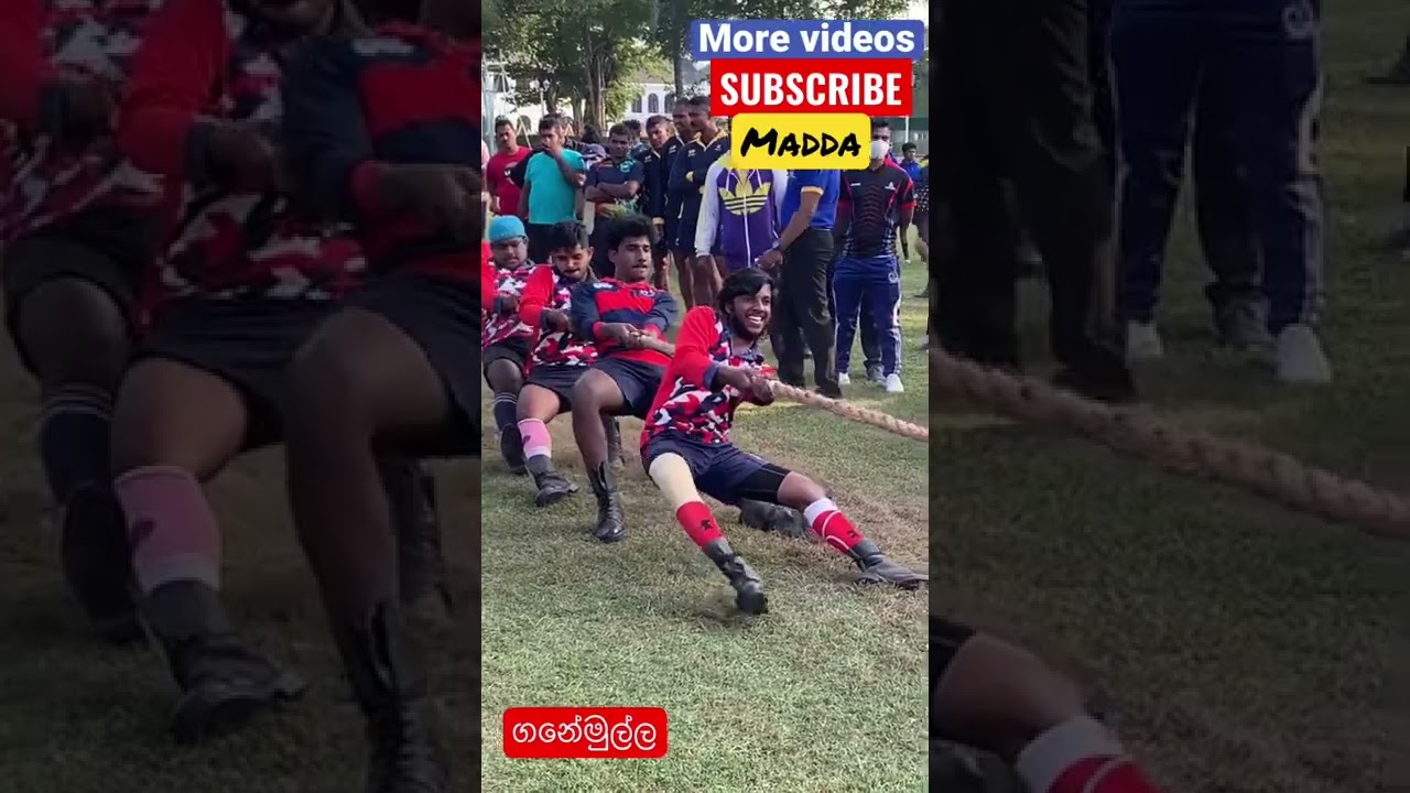 Ganemulla Junior tug of war #shortsvideo #tamil #neruppu # u 23 600KG