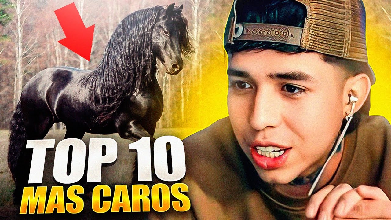 ME QUIERO COMPRAR UN CABALLO 