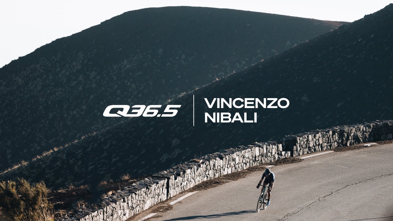Q36.5 x Vincenzo Nibali 🦈