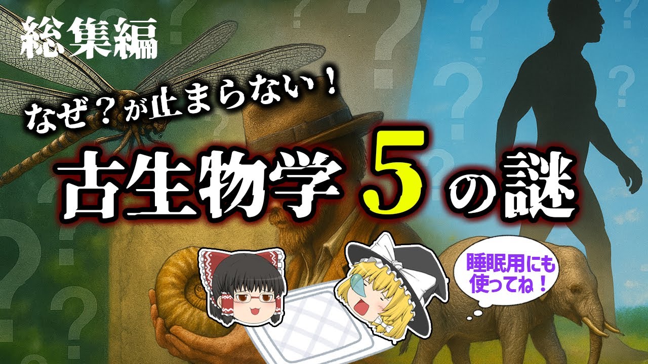 【睡眠用・ゆっくり解説】なぜ？が止まらない！古生物の世界に隠された5つの謎【広告最初のみ　途中広告なし】