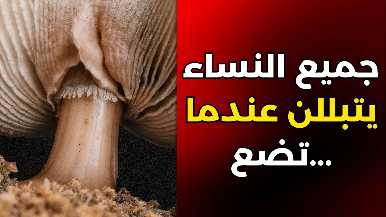 حقائق مدهشة عن علم النفس الأنثوي لم تسمع بها من قبل