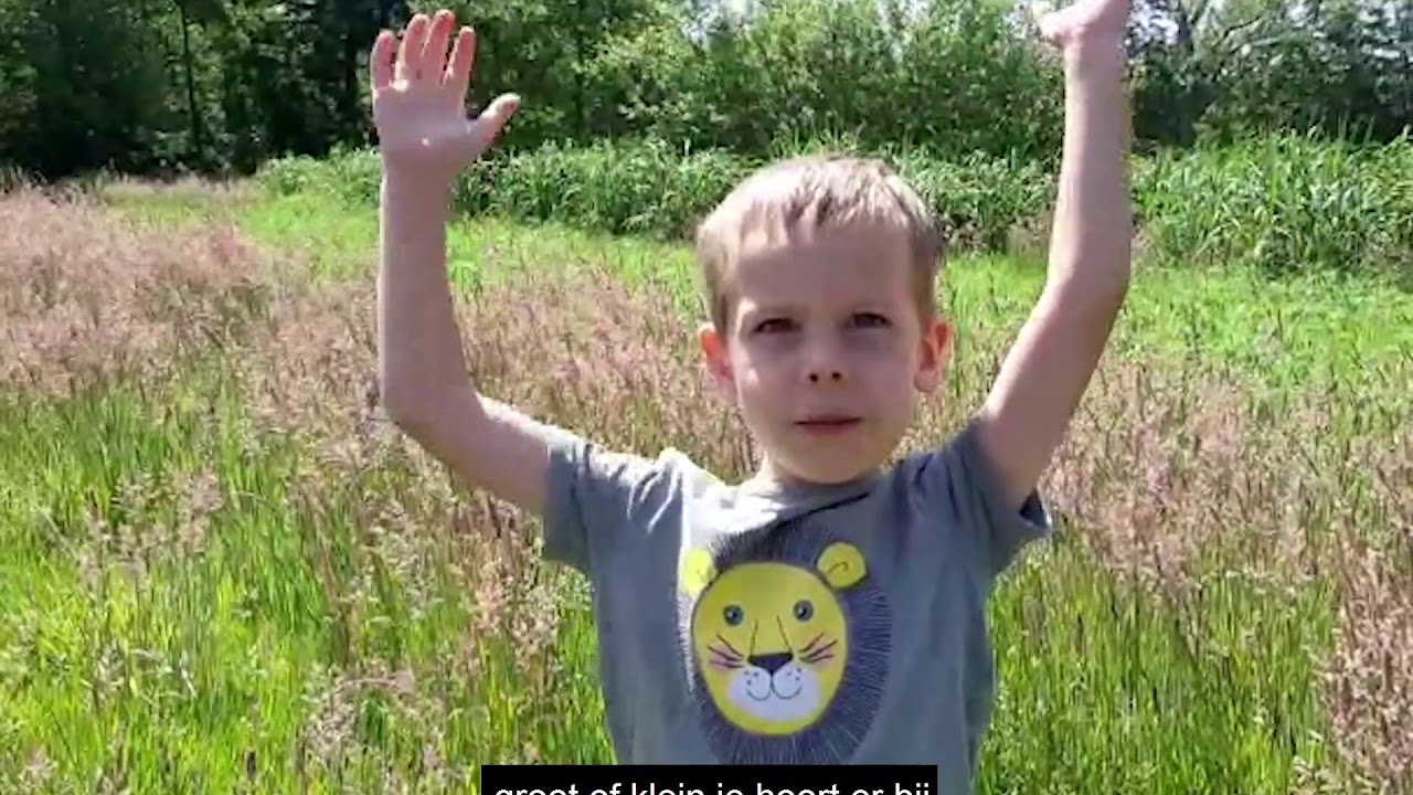 BijenkorfliedFinal