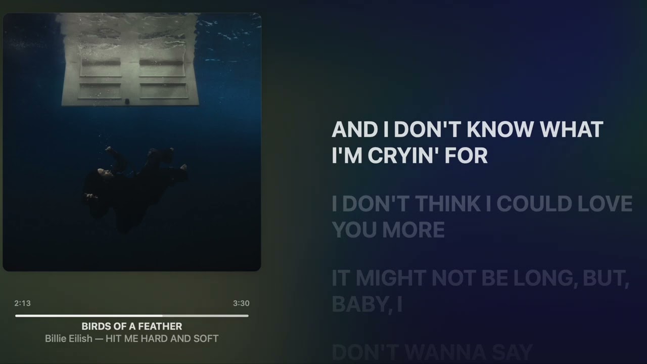 Billie Eilish - BIRDS OF A FEATHER [Original version] Lyrics + Lossless