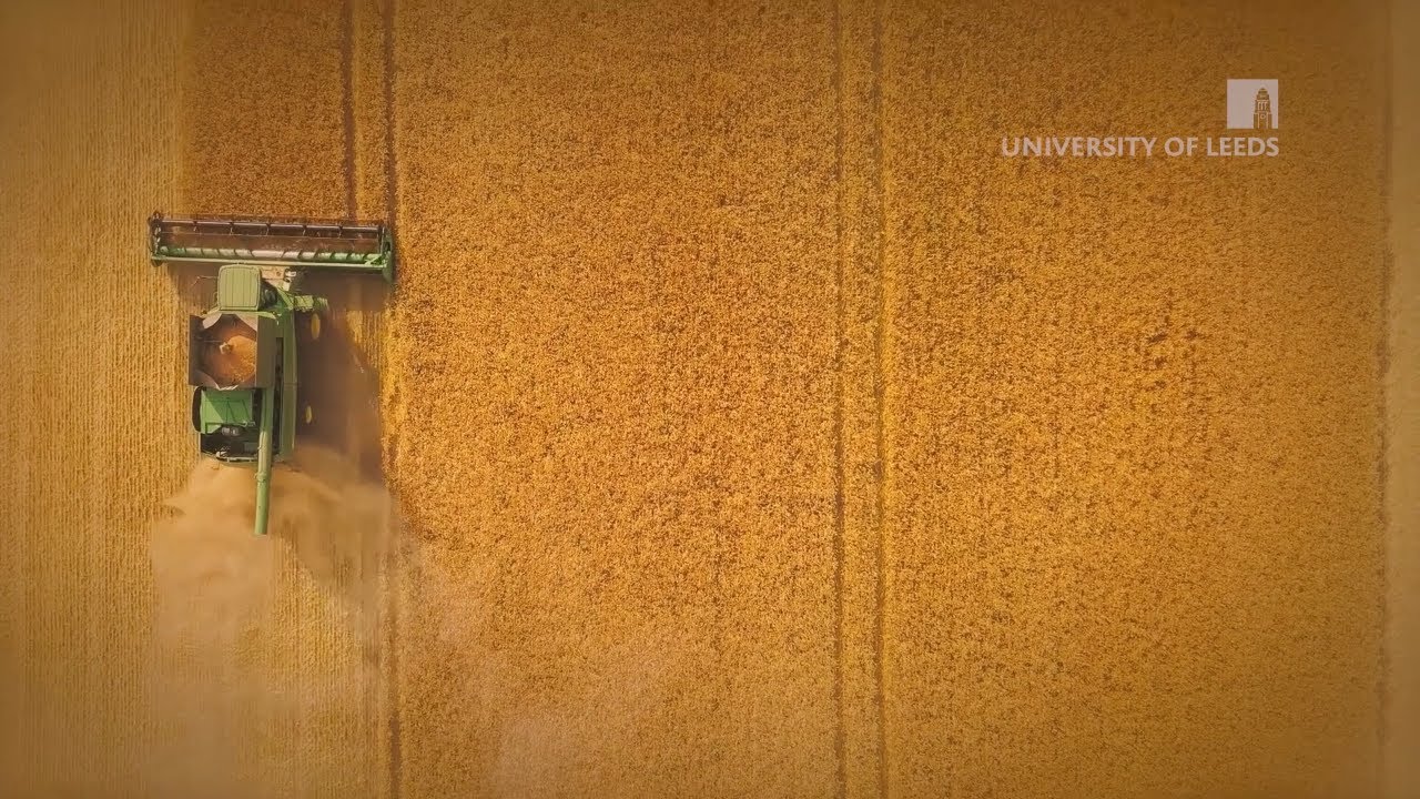 Studying Sustainable Food Systems MSc at the University of Leeds