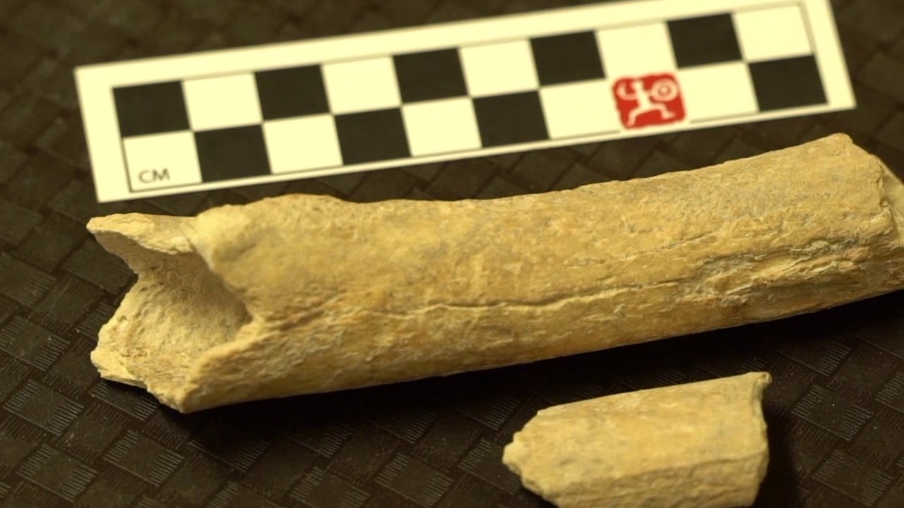 Zooarcheology