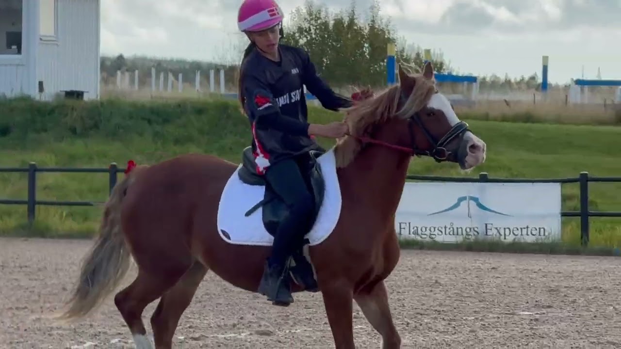 Emma Bahnson & Harvest Romana at the Scandinavia Championship Champions League qualifier 2024