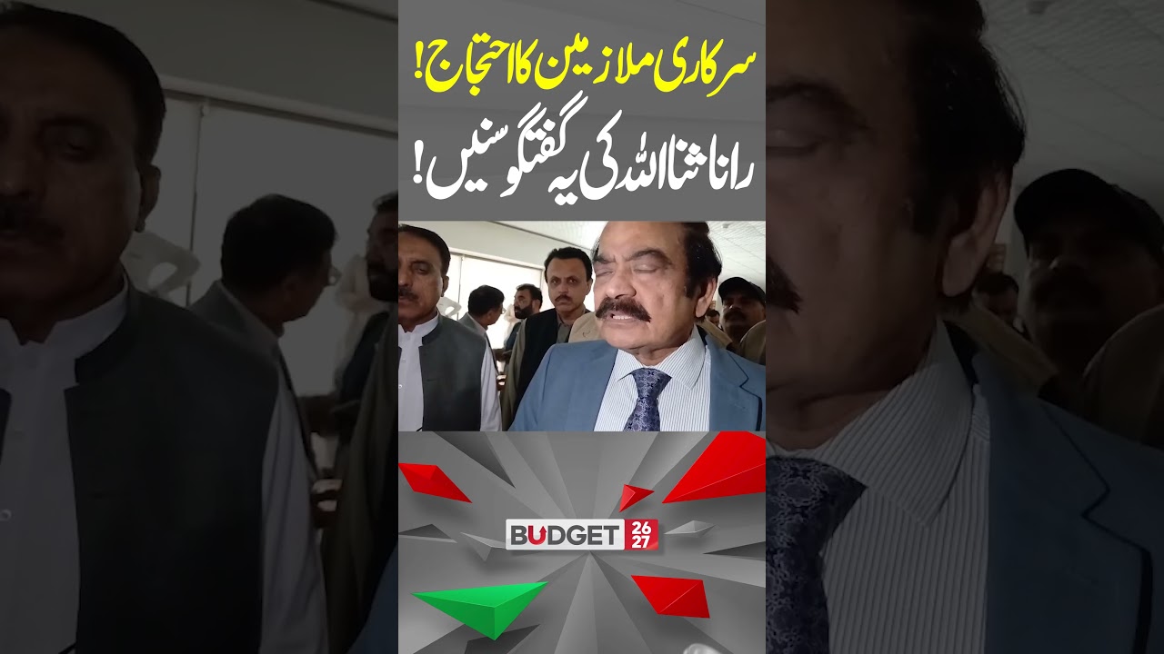 Rana Sanaullah&rsquo;s Big Statement on Govt Employees&rsquo; Protest&mdash;Watch What He Said | Hum News | Pakistan