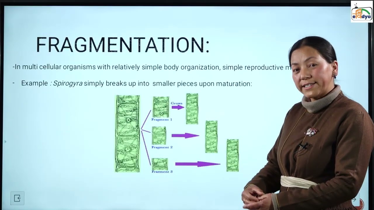 Science Mode of reproduction in single orga