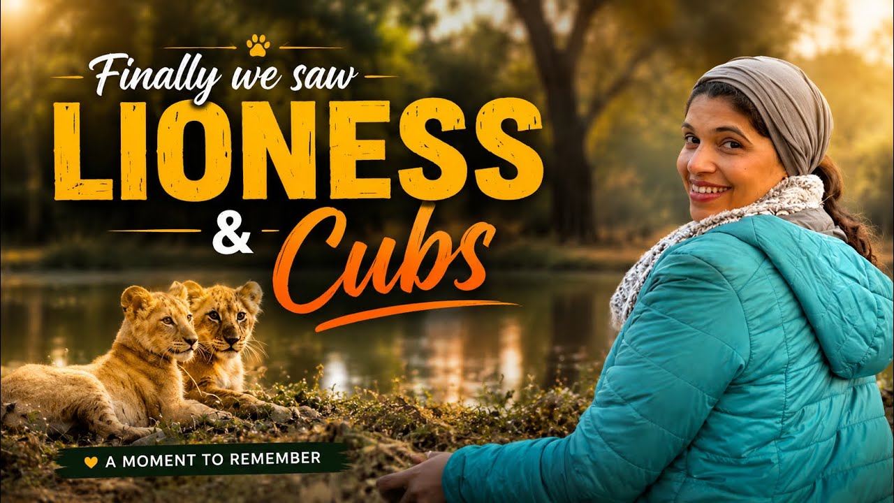 Lioness ,Cubs, Wild Deer & Real Jungle Drive | Ultimate  Wildlife Day | DS World Vlogs |