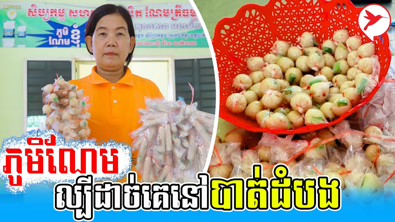 ភូមិណែមល្បីដាច់គេនៅបាត់ដំបង | កម្មវិធីមុខរបរស្រុកយើង