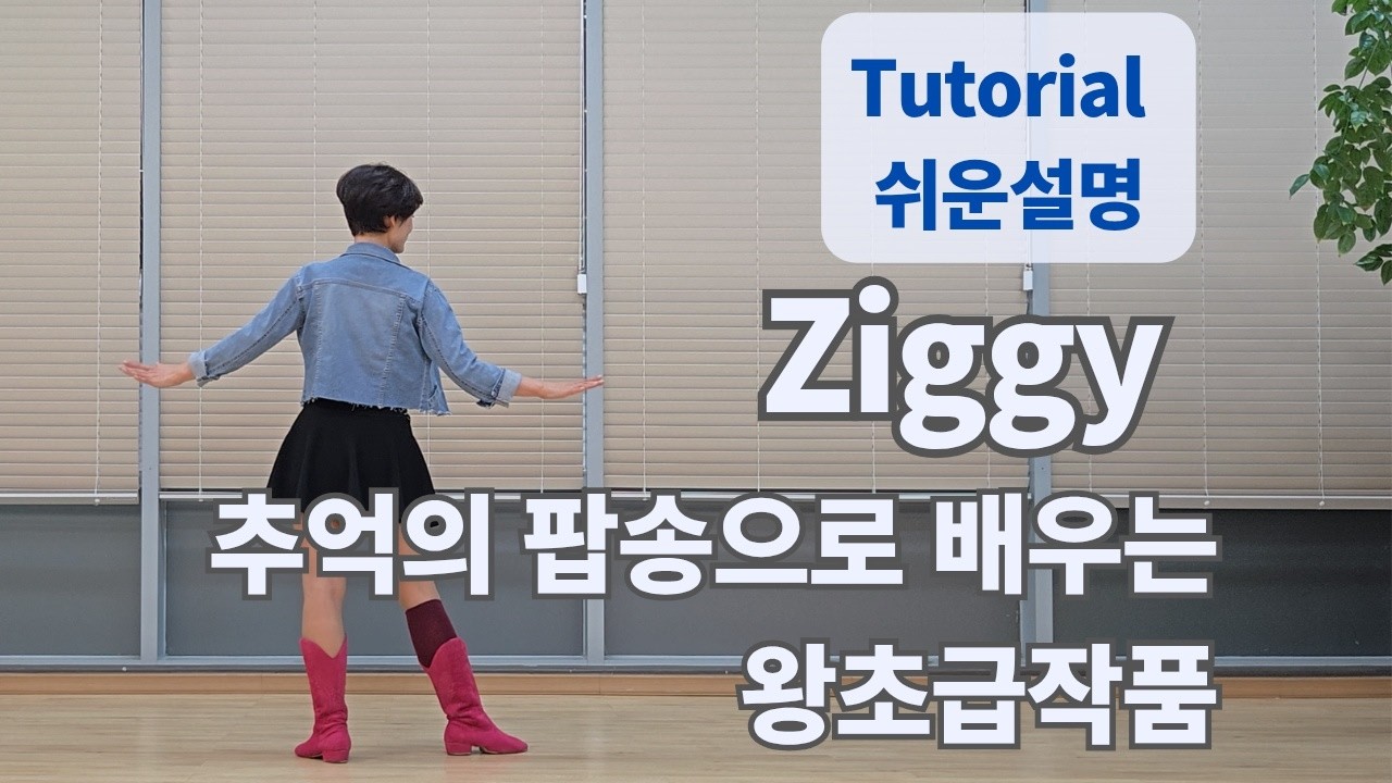 Ziggy Line Dance (Absolute Beginner : Gary Lafferty) - Tutorial